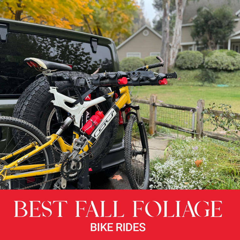 Best Fall Foliage Bike Rides – Allen.Bike